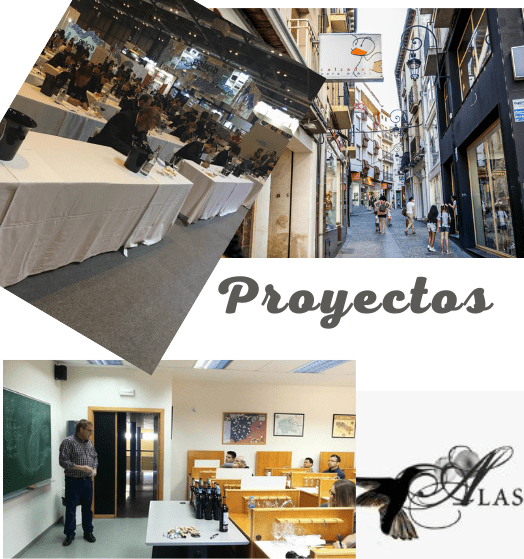 Proyectos Alas