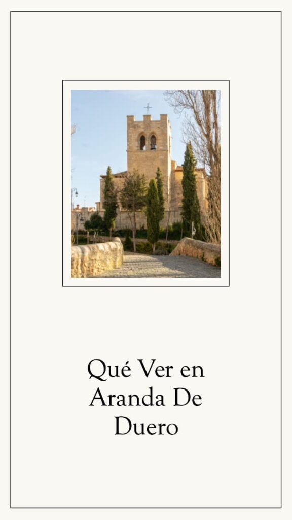 Enoturismo Aranda de Duero